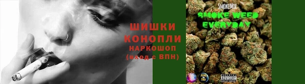 MESCALINE Аркадак