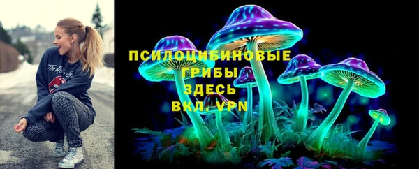 гашик Арсеньев