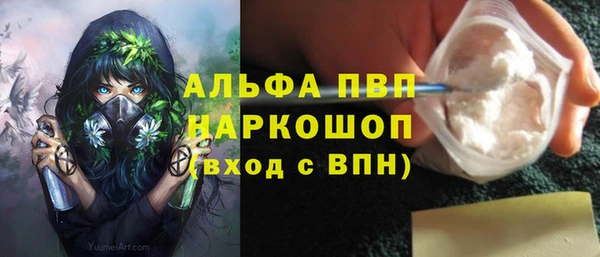 гашик Арсеньев