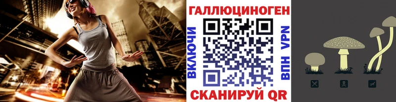 Псилоцибиновые грибы мицелий  Нязепетровск 